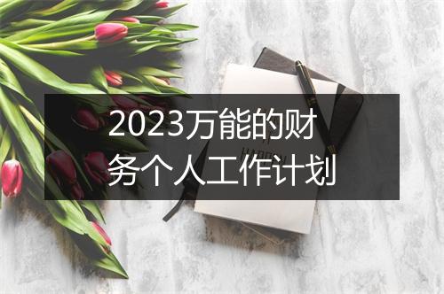 2023万能的财务个人工作计划