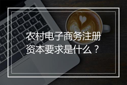 农村电子商务注册资本要求是什么？