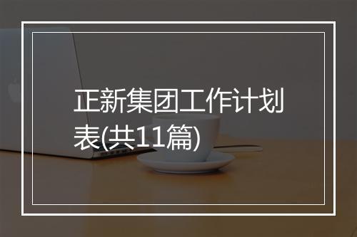 正新集团工作计划表(共11篇)