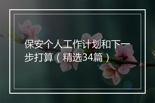 保安个人工作计划和下一步打算（精选34篇）