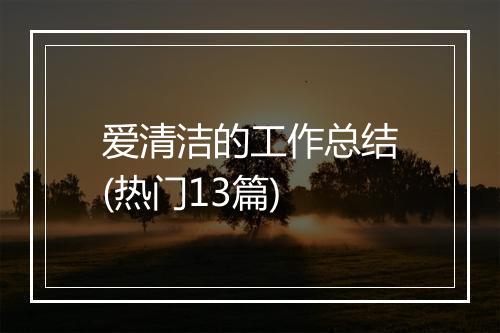 爱清洁的工作总结(热门13篇)
