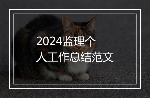 2024监理个人工作总结范文