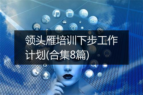 领头雁培训下步工作计划(合集8篇)