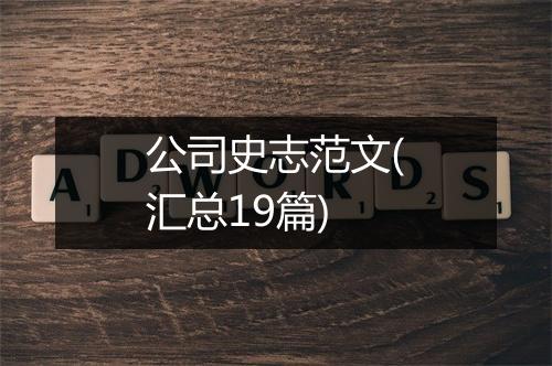 公司史志范文(汇总19篇)