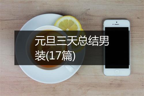 元旦三天总结男装(17篇)
