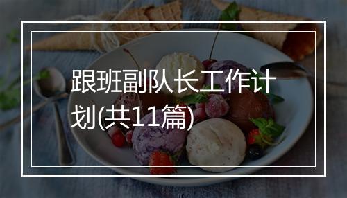 跟班副队长工作计划(共11篇)