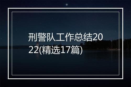 刑警队工作总结2022(精选17篇)