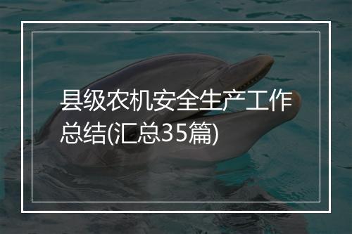 县级农机安全生产工作总结(汇总35篇)
