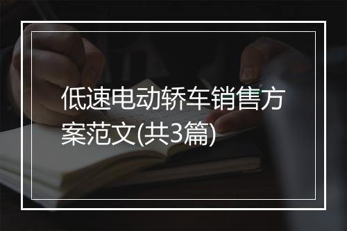 低速电动轿车销售方案范文(共3篇)