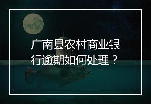 广南县农村商业银行逾期如何处理？