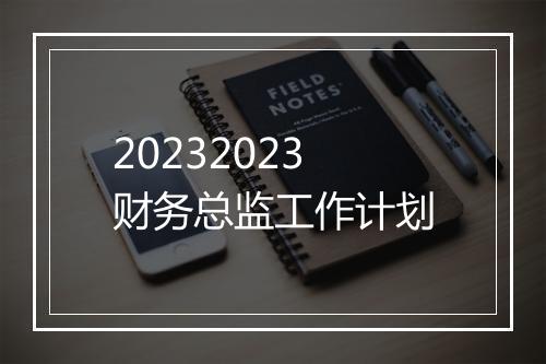 20232023财务总监工作计划