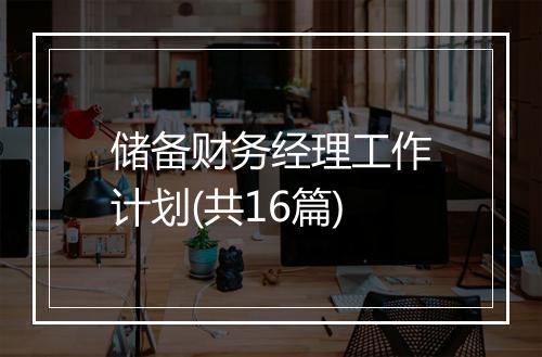 储备财务经理工作计划(共16篇)