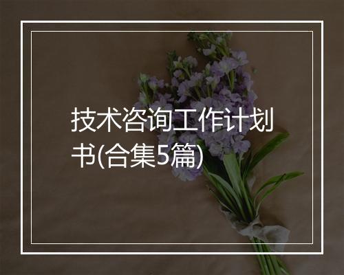 技术咨询工作计划书(合集5篇)