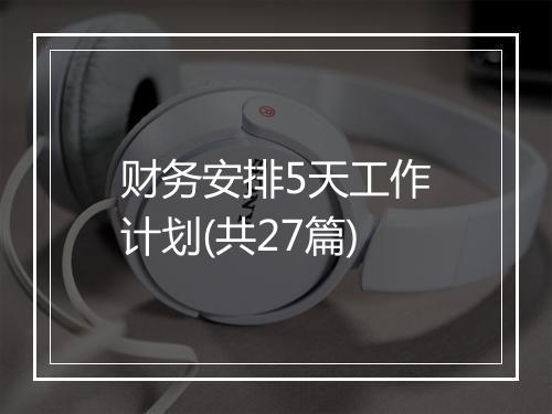 财务安排5天工作计划(共27篇)