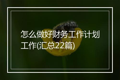 怎么做好财务工作计划工作(汇总22篇)