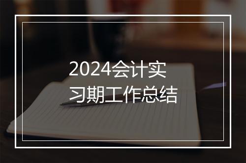 2024会计实习期工作总结