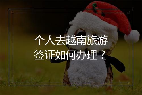 个人去越南旅游签证如何办理？