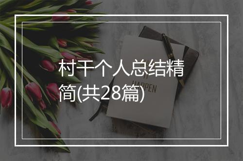 村干个人总结精简(共28篇)