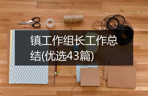 镇工作组长工作总结(优选43篇)