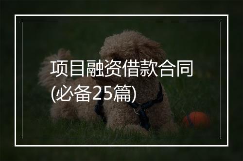 项目融资借款合同(必备25篇)