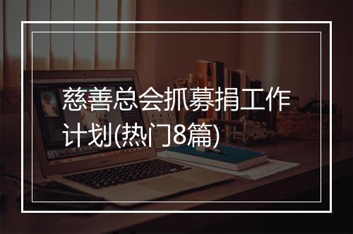 慈善总会抓募捐工作计划(热门8篇)