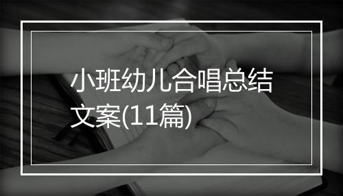 小班幼儿合唱总结文案(11篇)