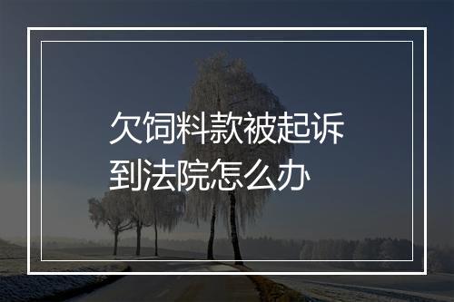 欠饲料款被起诉到法院怎么办