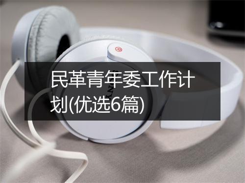 民革青年委工作计划(优选6篇)