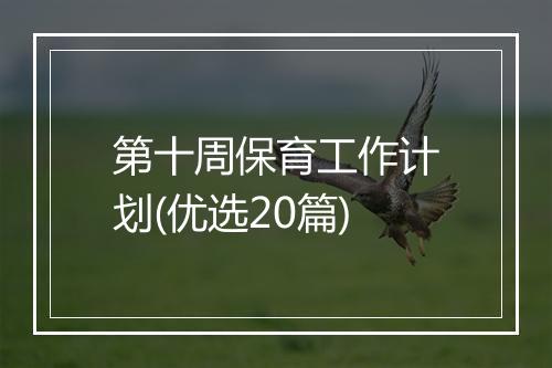 第十周保育工作计划(优选20篇)