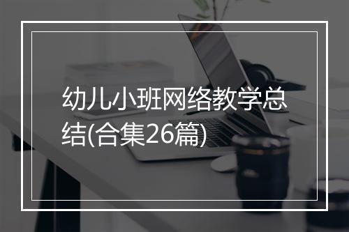 幼儿小班网络教学总结(合集26篇)