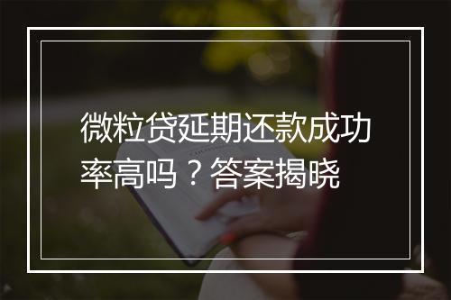 微粒贷延期还款成功率高吗？答案揭晓