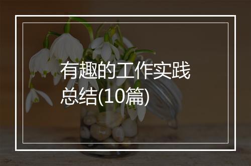有趣的工作实践总结(10篇)