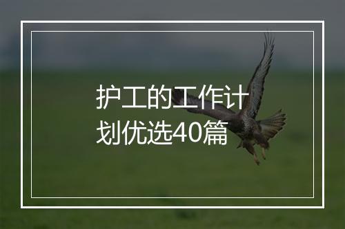 护工的工作计划优选40篇