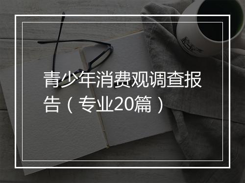 青少年消费观调查报告（专业20篇）