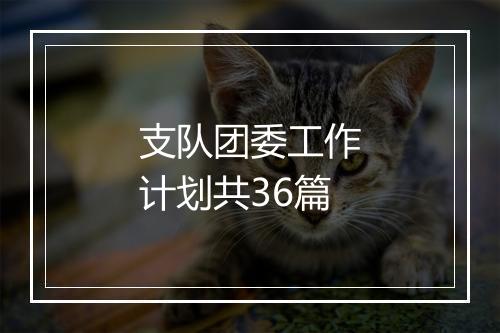 支队团委工作计划共36篇
