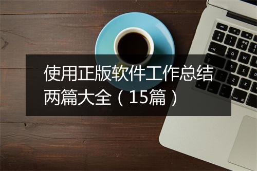 使用正版软件工作总结两篇大全（15篇）