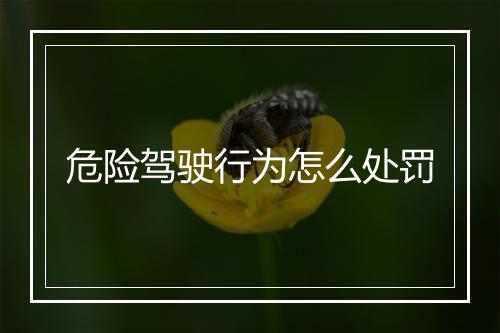 危险驾驶行为怎么处罚