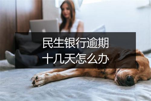 民生银行逾期十几天怎么办