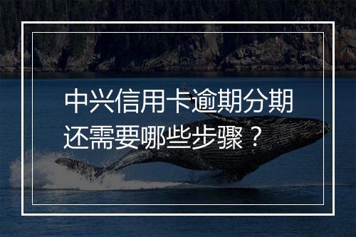 中兴信用卡逾期分期还需要哪些步骤？