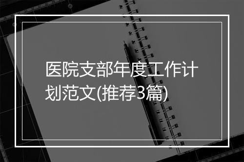 医院支部年度工作计划范文(推荐3篇)