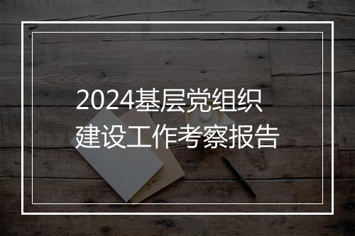 2024基层党组织建设工作考察报告