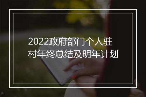 2022政府部门个人驻村年终总结及明年计划