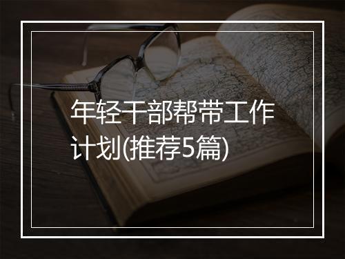 年轻干部帮带工作计划(推荐5篇)