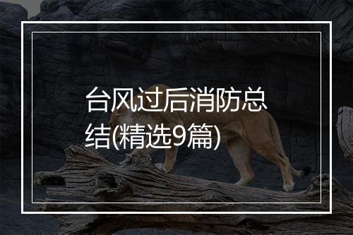 台风过后消防总结(精选9篇)