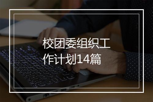 校团委组织工作计划14篇