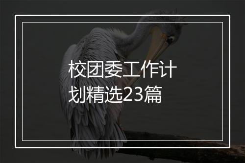校团委工作计划精选23篇