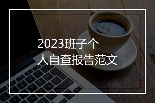 2023班子个人自查报告范文