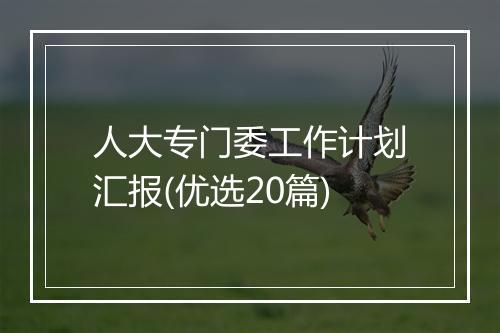 人大专门委工作计划汇报(优选20篇)