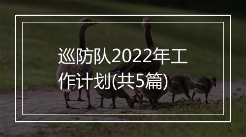 巡防队2022年工作计划(共5篇)