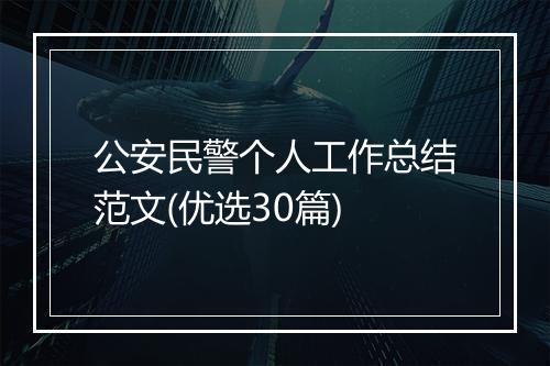 公安民警个人工作总结范文(优选30篇)